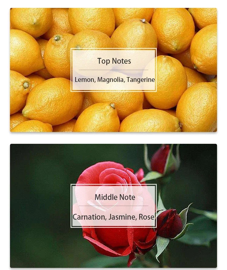 Rose Perfume 30ml Long Lasting Fresh Fruity Floral Scent Fragrance High Quality Body Spray Cologne Light Eau De Parfum For Women